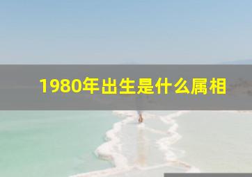 1980年出生是什么属相