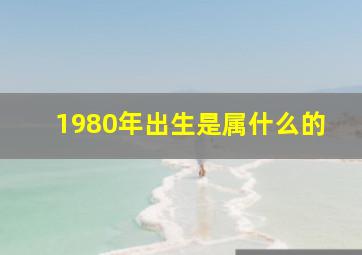 1980年出生是属什么的