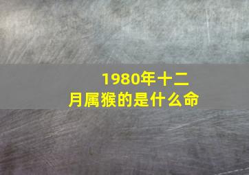 1980年十二月属猴的是什么命