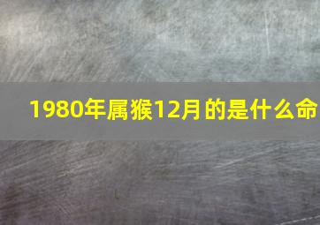 1980年属猴12月的是什么命