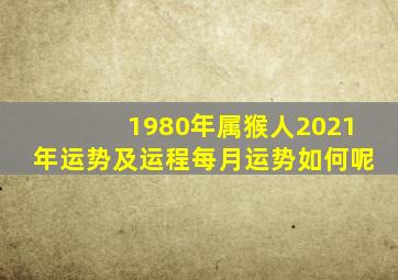 1980年属猴人2021年运势及运程每月运势如何呢