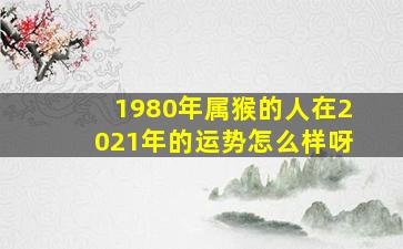 1980年属猴的人在2021年的运势怎么样呀