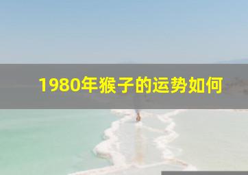 1980年猴子的运势如何