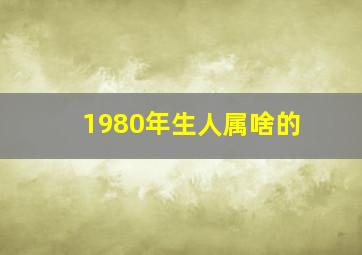 1980年生人属啥的