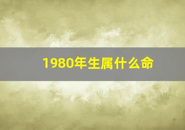 1980年生属什么命