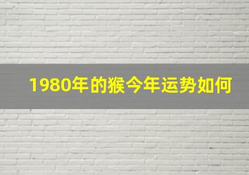 1980年的猴今年运势如何