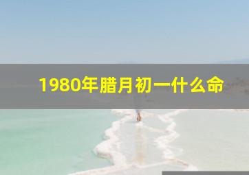 1980年腊月初一什么命