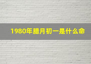 1980年腊月初一是什么命