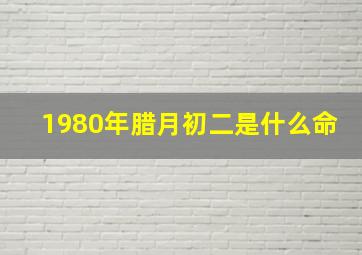 1980年腊月初二是什么命