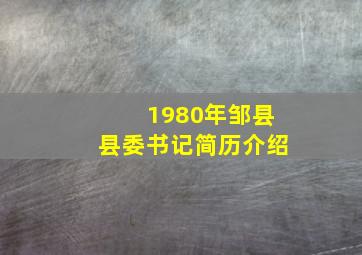 1980年邹县县委书记简历介绍