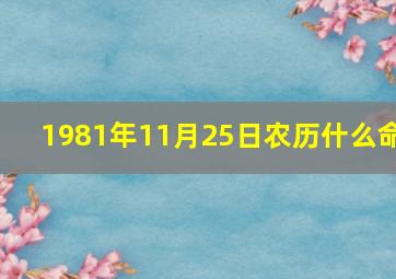 1981年11月25日农历什么命