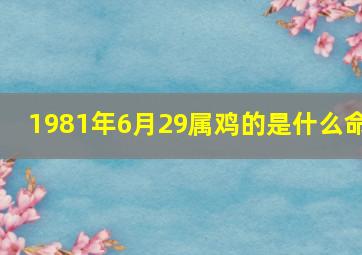 1981年6月29属鸡的是什么命