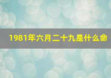 1981年六月二十九是什么命