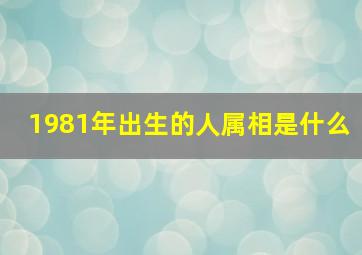 1981年出生的人属相是什么