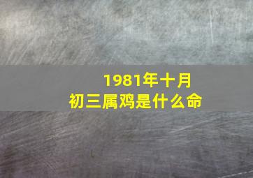 1981年十月初三属鸡是什么命