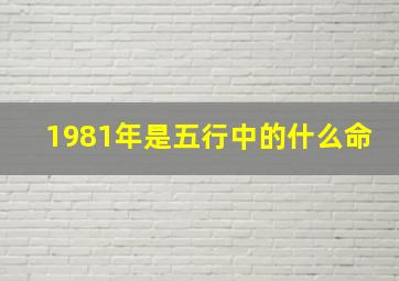 1981年是五行中的什么命