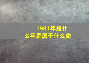 1981年是什么年是属于什么命