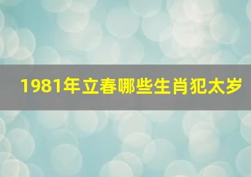 1981年立春哪些生肖犯太岁