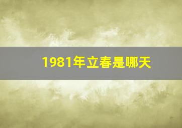 1981年立春是哪天