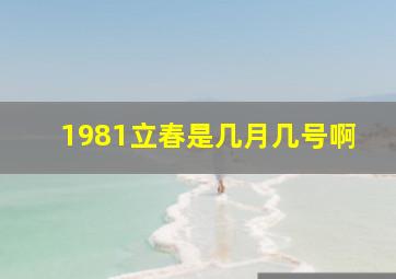 1981立春是几月几号啊