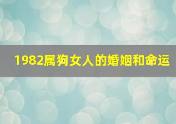 1982属狗女人的婚姻和命运