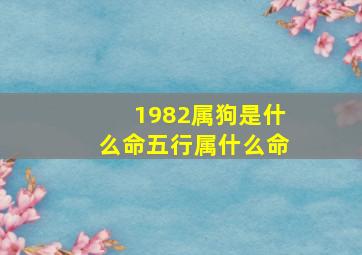 1982属狗是什么命五行属什么命