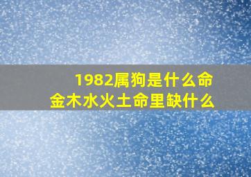 1982属狗是什么命金木水火土命里缺什么