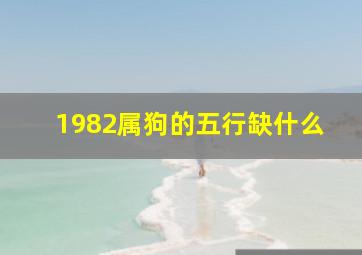 1982属狗的五行缺什么