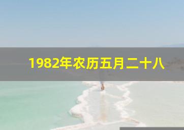 1982年农历五月二十八