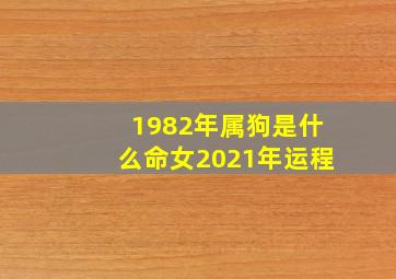 1982年属狗是什么命女2021年运程