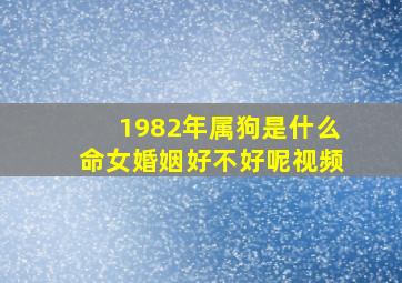 1982年属狗是什么命女婚姻好不好呢视频