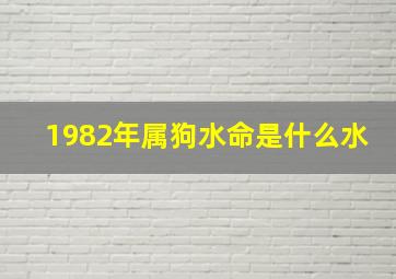 1982年属狗水命是什么水