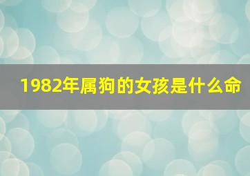 1982年属狗的女孩是什么命