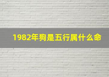 1982年狗是五行属什么命