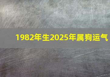 1982年生2025年属狗运气