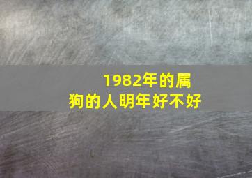 1982年的属狗的人明年好不好