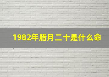 1982年腊月二十是什么命