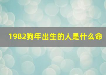 1982狗年出生的人是什么命