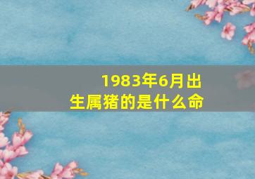 1983年6月出生属猪的是什么命