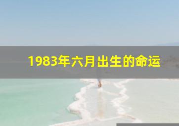 1983年六月出生的命运