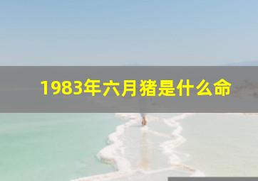 1983年六月猪是什么命