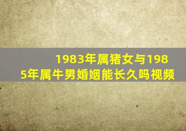 1983年属猪女与1985年属牛男婚姻能长久吗视频