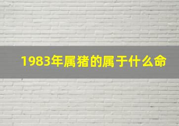 1983年属猪的属于什么命