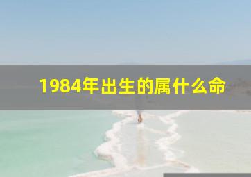 1984年出生的属什么命