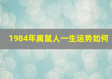 1984年属鼠人一生运势如何