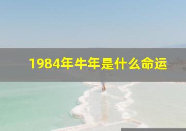 1984年牛年是什么命运