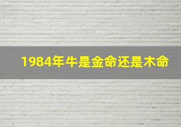 1984年牛是金命还是木命