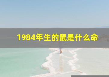 1984年生的鼠是什么命