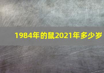 1984年的鼠2021年多少岁