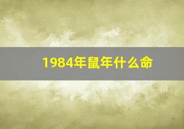 1984年鼠年什么命